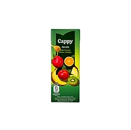 Cappy atom meyve suyu 200ml