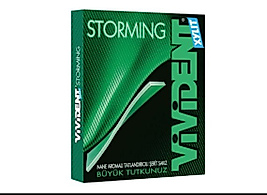 VİVİDENT STORMING CÜZDAN SAKIZ 33GR